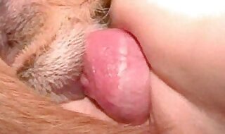 pussy closeup