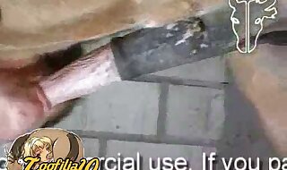 free porn animal