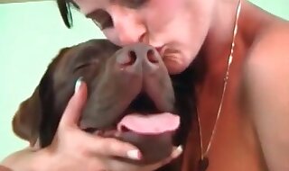 free porn animal