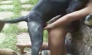zoo fucks