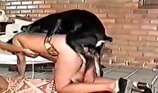 animal sex