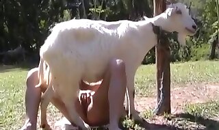 cum