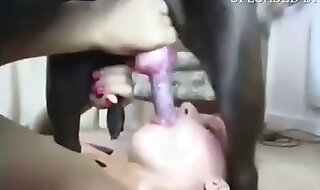 hd zoo