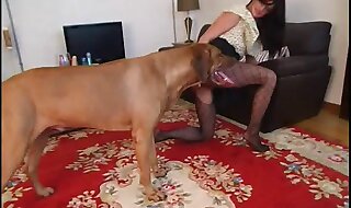 dog
