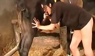 animal fuck