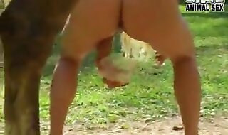 xxx horse