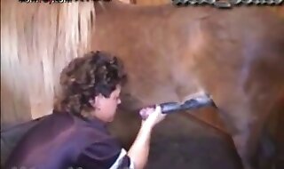 hd zoo