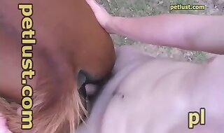 xxx horse