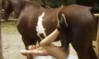 xxx horse