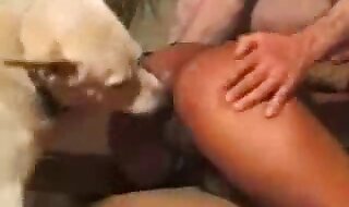 humping
