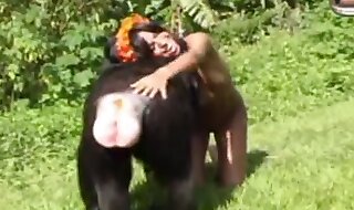 monkey sex