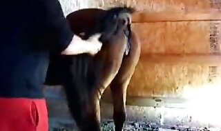 anal sexy