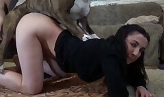 Zoo animal porn