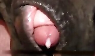 zoo porn hub